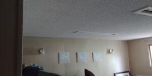 Read more about the article The Popcorn Ceiling Incident