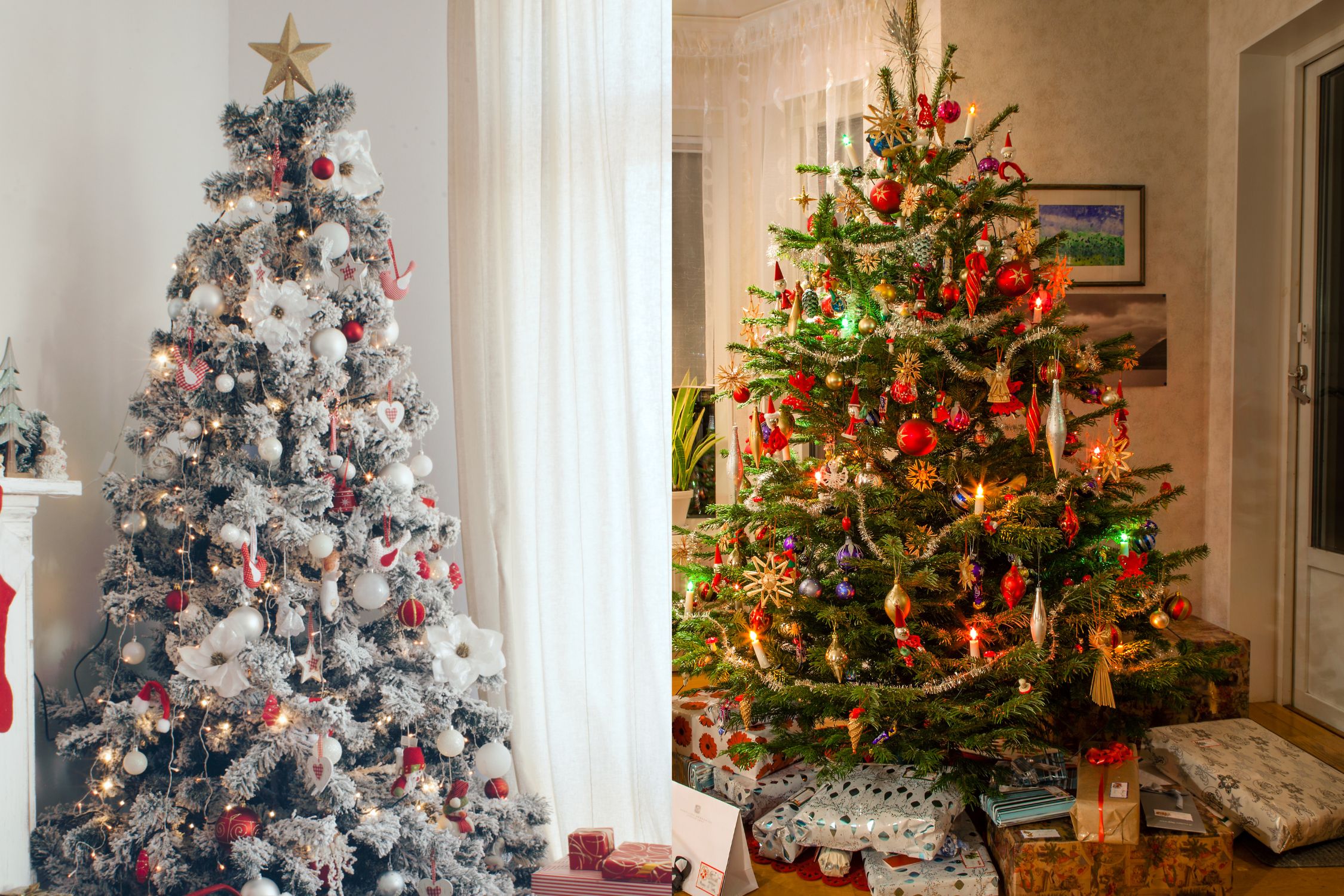 Read more about the article Real vs. Artificial Christmas Trees: Which One is Right for Your Home?