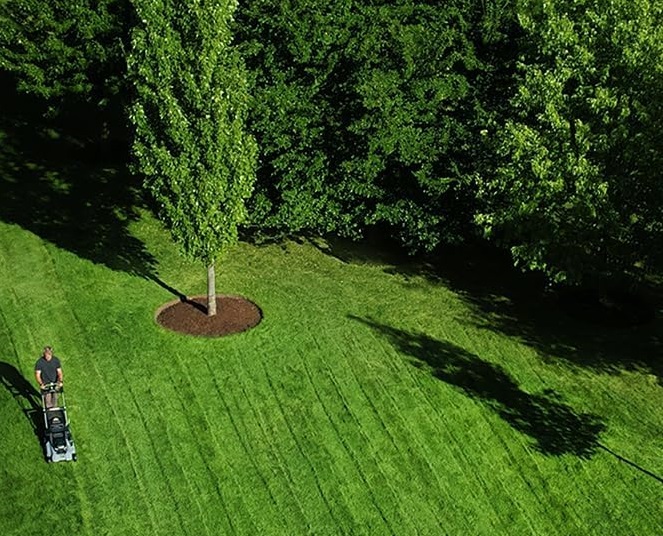 Best Cordless Lawnmowers